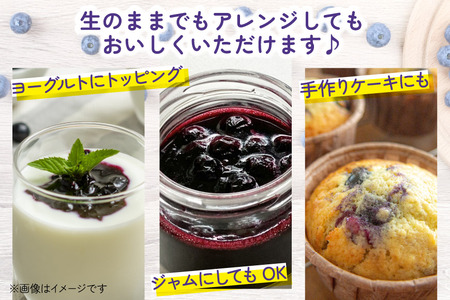 〈先行予約〉 生食 ブルーベリー 1kg [ノーザン・ベリーズ 北海道 砂川市 12260529]