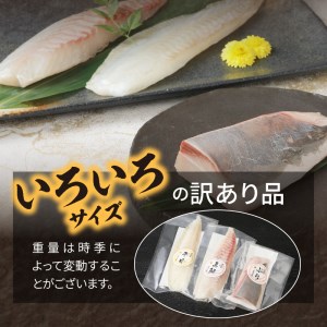 【訳あり】日向灘活〆ﾛｲﾝお刺身3種の食べ比べ計470g以上 N124-YZB059