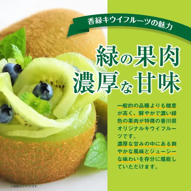 香緑キウイ化粧箱　約1.4kg【2027年1月上旬～2027年3月下旬配送】