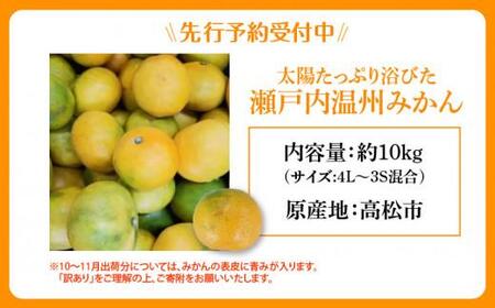 【訳あり】太陽たっぷり浴びた　瀬戸内温州みかん　約10kg【2026年10月上旬～2027年1月中旬配送】