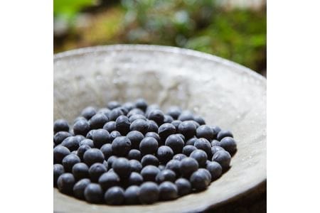 丹波篠山近又　国内最高峰　丹波篠山産黒豆煮 1個化粧箱入り BA24