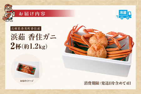 高評価☆4.6 香住ガニ 約600g×2匹（約1.2kg以上） 07-01 ☆