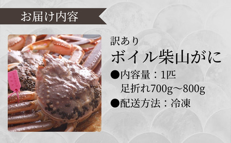 《先行予約》【訳あり】 ボイル 柴山がに（冷凍）700g～800g 1匹【令和8年11月上旬以降発送予定】 かに カニ  04-07