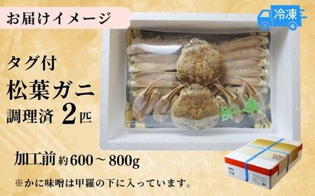 カニ【訳あり･数量限定】松葉がに 2匹 07-38