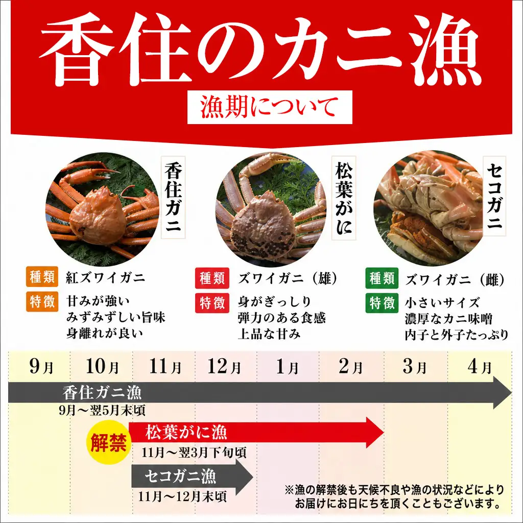 【先行予約】カネニの浜茹で 柴山がに タグ付き 1kg以上 冷蔵 【令和8年11月中旬以降発送予定】かに カニ 06-02