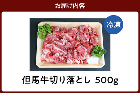 但馬牛 切り落とし 500g 冷凍 牛肉  02-02