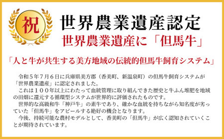 但馬牛 焼肉 食べ比べ おすすめ3種盛り 合計600g 冷凍 牛肉  02-17