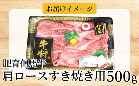 但馬牛 肩ロース すき焼き用 合計500g 冷凍 牛肉  02-06