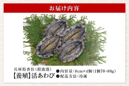 活あわび 8cm×4枚 280～320g (1個70～80g）あわび アワビ 20-01