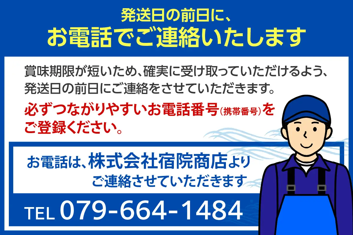 香住の朝獲れ地魚セット 期間限定 4～5種類詰め合わせ 1.5kg～2kg程度 33-11