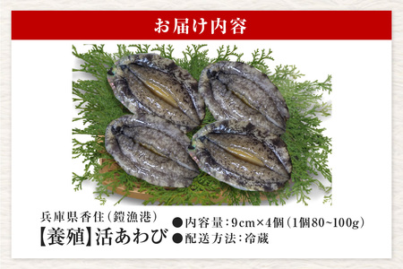 活あわび 9cm×4枚 320～400g (1個80～100g） あわび アワビ 20-02