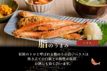 天然紅鮭甘塩仕立て切り落とし 800g ハラス 400g 計 1.2kg 鮭 切り落とし さけ _HD024-017