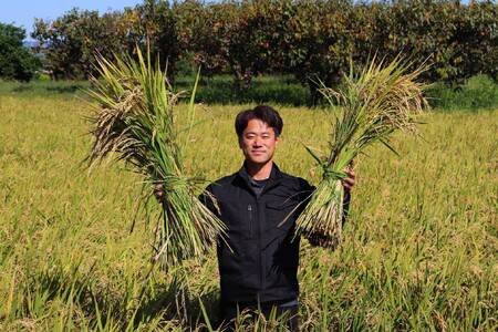 【令和7年度産】《新米》大和米　奈良県広陵町産ヒノヒカリ　白米5kg /// ひのひかり ヒノヒカリ ブランド米 白米 ご飯 お米 大和米 おにぎり おむすび 安心 安全 美味しい 人気 直送 奈良県 広陵町