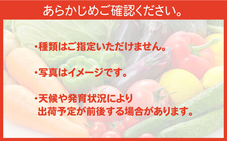 【12回定期便】野菜定期便 7〜10品目 / ながさき南部 [SBW005] 
