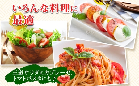 北海道 高橋農園 桃太郎トマト 4kg以上 M～Lサイズ (18玉～24玉) 5月下旬～9月上旬頃お届け 大玉トマト tomato 産地直送 農家直送 新鮮 野菜 安心 安全 とれたて 完熟 洞爺湖町 送料無料