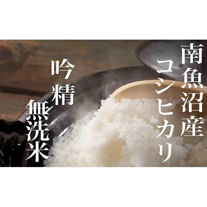 【令和7年産】【頒布会10Kg×全12回】無洗米 吟精 南魚沼産コシヒカリ【定期便 銘柄米 ブランド米 無洗米 こしひかり コシヒカリ 魚沼産 新潟米 産地直送 お米 米 こめ コメ ご飯 御飯 ごはん】