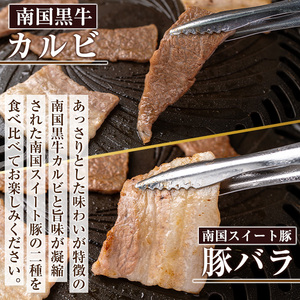 isa262 焼肉セット(計500g・南国黒牛250g/南国スイート豚250g) 牛肉 国産 豚肉 焼肉 BBQ 食べ比べ 肉専用種【お肉の直売所 伊佐店】