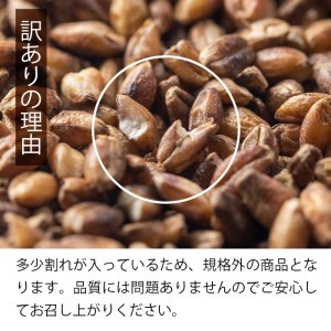 isa256 《訳あり・数量限定》鹿児島県伊佐市産もち麦！＜ダイシモチ＞(計3kg・500g×6袋) 国産 九州産 訳あり 麦 ごはん 穀類 お米 ヘルシー 腸活 食物繊維【社会福祉法人ひまわり福祉会】