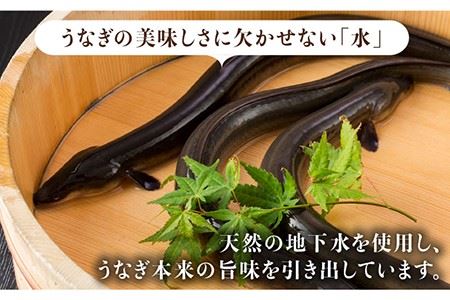 ふっくらジューシーのこだわりうなぎ【12回定期便】国産うなぎの白焼 6枚セット×12回[FAD020]