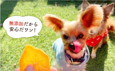 犬の無添加おやつ☆お砂糖不使用 旬のドライフルーツおまかせ6袋 吉野ヶ里町 [FCG022]