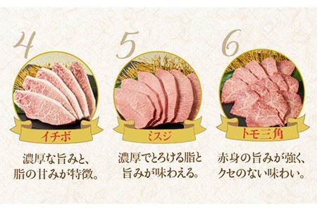 佐賀牛希少部位 おまかせ9種堪能セット1800g 合計1.8kg （9種×200g）焼肉 セット [FAY042]