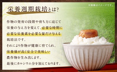 幸田町産「栄養週期栽培米」あいちのかおり 10kg 白米 精米 お米 米 ご飯
