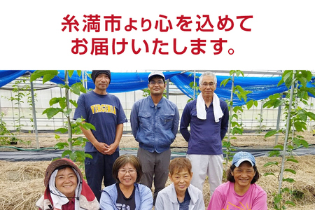 【 期間限定 2026年 発送】 糸満産 糸ちゃん パッションフルーツ 訳あり 3kg 数量限定 沖縄 家庭用 訳アリ 訳あり品 甘味 酸味 追熟 フルーツ 果物 トロピカル 南国 スイーツ デザート βカロテン ビタミン 葉酸 国産 沖縄県 糸満市 104-1