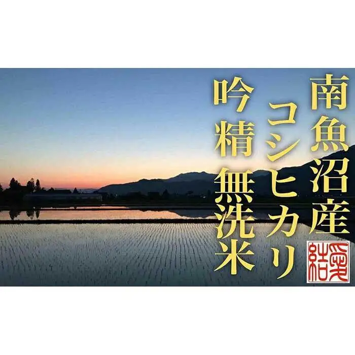 【令和7年産】【定期便10Kg×全12回【無洗米】 南魚沼産コシヒカリ【定期便 銘柄米 ブランド米 無洗米 こしひかり コシヒカリ 魚沼産 新潟米 産地直送 お米 米 こめ コメ ご飯 御飯 ごはん】