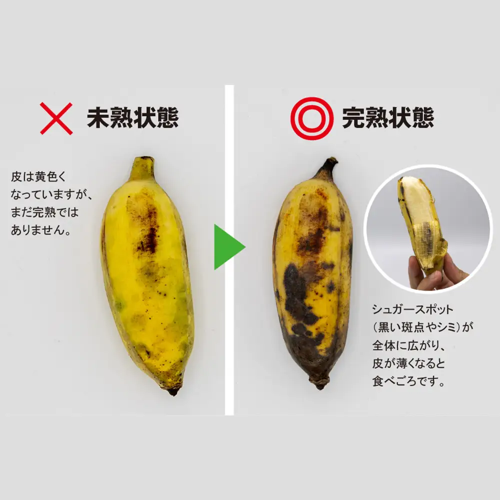 希少】沖縄本島産 南風原町農友会の「アップルバナナ」 3kg | 沖縄県