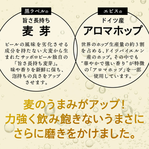 a24-060　【サッポロ ビール】ゴールドスター350ml×24本×2箱