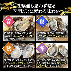 北海道厚岸産 牡蠣 Lサイズ 1ダース（12個入り） 生食用 生牡蠣 貝付き牡蠣 貝 海鮮 魚介類 シーフード 殻付き牡蠣 マルえもん メルマガ掲載商品1 