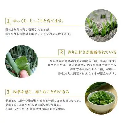【こと京都】九条ねぎカット食べ比べセット(鍋仕様)