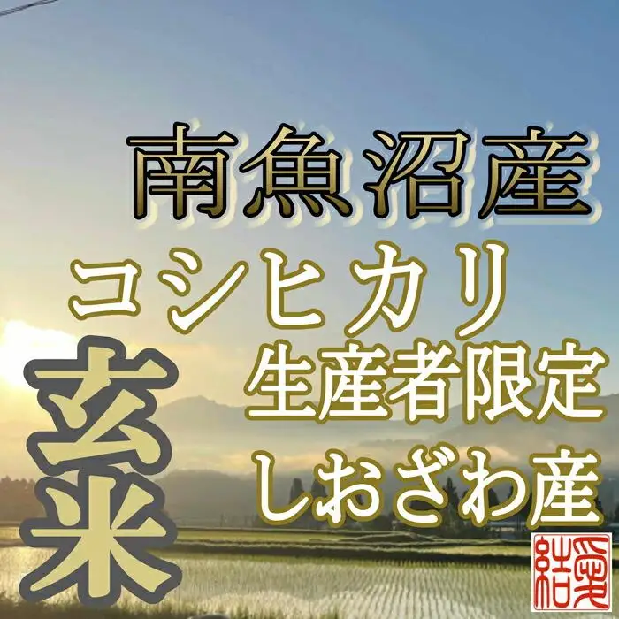 【令和7年産】【定期便】玄米 南魚沼しおざわ産コシヒカリ4Kg×9ヶ月【定期便 銘柄米 ブランド米 玄米 こしひかり コシヒカリ 魚沼産 新潟米 産地直送 お米 米 こめ コメ ご飯 御飯 ごはん】