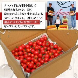 【1kg】ミニトマト 糖度8以上 アマメイド 　リピーター続出の人気野菜【1502576】