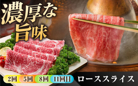 【12回定期便】佐賀県産 黒毛和牛 定期便 / 牛肉 [IAG070]