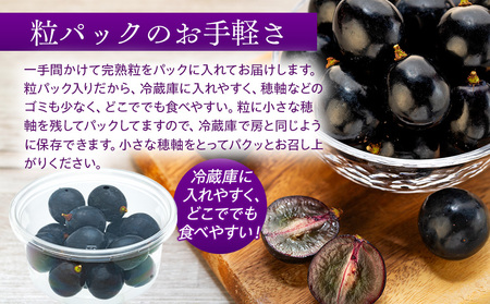 ぶどう 皮ごと食べられる 黒ぶどう ナガノパープル 粒パック 約2kg フルーツ 果物