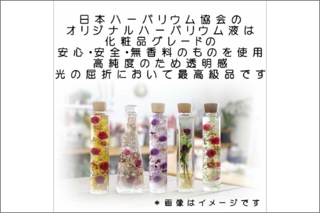 【0766-2】[香華　ハーバーランド]ハーバリウム