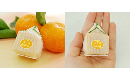 三ヶ日みかんゼリー15個セット【配送不可：北海道・沖縄・離島】 お菓子 ジュレ 