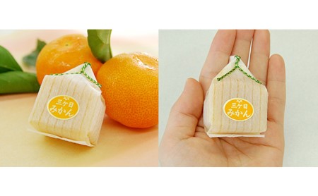 三ヶ日みかんゼリー20個セット【配送不可：北海道・沖縄・離島】 お菓子 ジュレ 