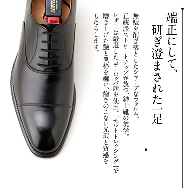 スコッチグレイン ビジネスシューズ メンズ オデッサ 916 ストレートチップ 革靴 本革 日本製 E 送料無料 父の日 ギフト 26.5cm