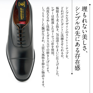 スコッチグレイン ビジネスシューズ メンズ インペリアルII 936 ストレートチップ 革靴 本革 日本製 EEE 送料無料 父の日 ギフト 23.5cm