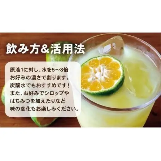 沖縄県産100％シークヮーサー12本(AS010-1)