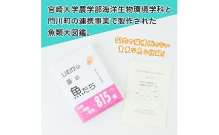 新・門川の魚図鑑(1冊)お魚 知育 学習 本 書籍【AI-3】【門川町地域振興課】