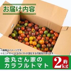 カラフルトマト食べ比べセット(約2kg・9品種の中から4品種以上)国産 宮崎県産 とまと 野菜 サラダ 黄色 オレンジ みどり 紫 アイコ 赤 セレブスイート【KT-2】【K.TFarm】