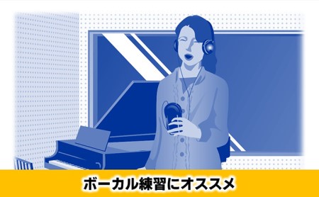 【11月上旬お届け】【Roland】ボーカルトレーナー/VT-12-BK【配送不可：離島】 雑貨 日用品 オーディオ機器 