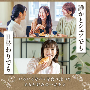  自家培養酵母で焼く店主厳選のアラカルトパン10点セット！酵母 パン 国産小麦 10点 個別包装 京都府 木津川 065-03