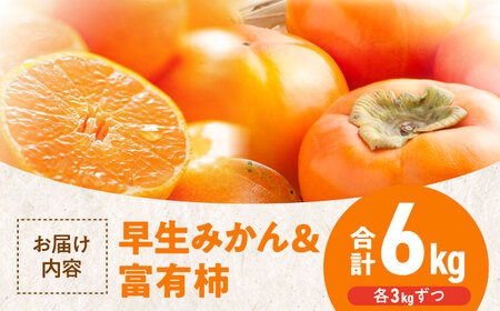 早生みかん＋富有柿（各3kg） 富有柿 みかん【11月上旬より順次発送】[AGBN019]