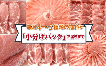 【6ヶ月定期便】豚肉 石見ポーク 豚半頭セット　総重量22kg！