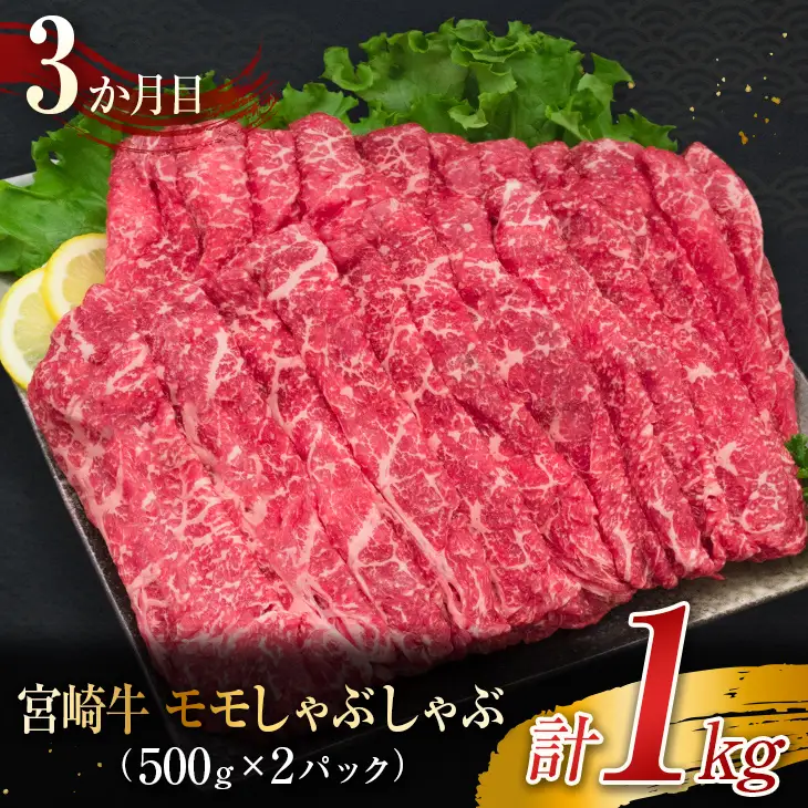 3か月 お楽しみ 定期便 宮崎牛 堪能 セット 合計3kg_L9-25