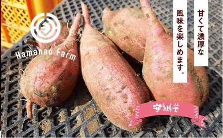 A1-5415／焼き芋アイス 3種類セット(6カップ)